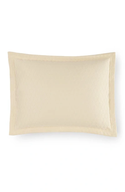 Shop Sferra Favo Sham In Ivory