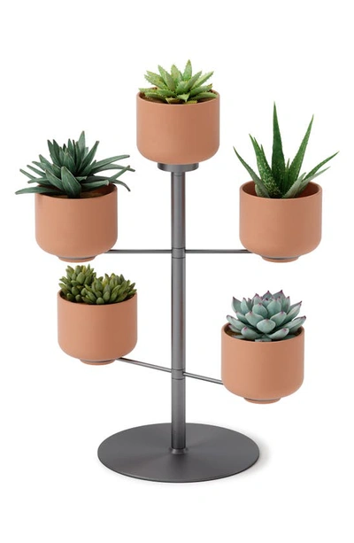 Shop Umbra 5-piece Desktop Planter In Titanium