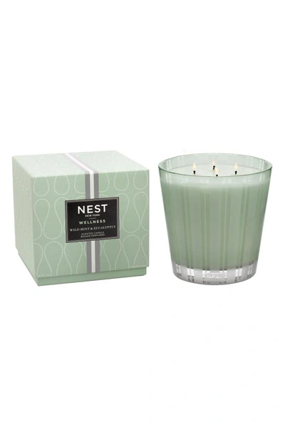Shop Nest New York Wild Mint & Eucalyptus Scented Classic Candle, 22 oz