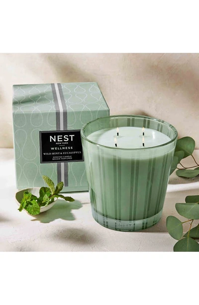 Shop Nest New York Wild Mint & Eucalyptus Scented Classic Candle, 22 oz