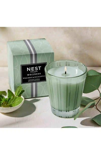 Shop Nest New York Wild Mint & Eucalyptus Scented Classic Candle, 8.1 oz