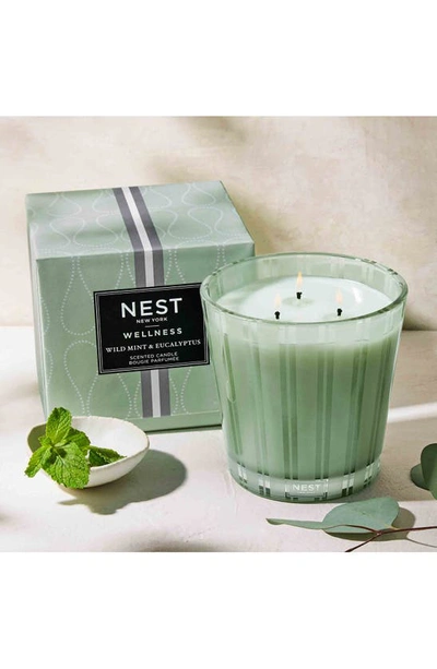 Shop Nest New York Wild Mint & Eucalyptus Scented Classic Candle