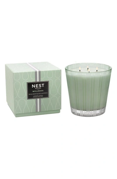 Shop Nest New York Wild Mint & Eucalyptus Scented Classic Candle, 43.7 oz