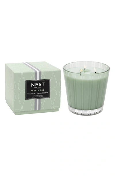 Shop Nest New York Wild Mint & Eucalyptus Scented Classic Candle, 43.7 oz
