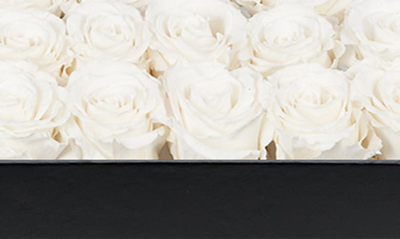 Venus Et Fleur Classic Large Eternity Roses In Pure White