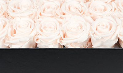 Venus Et Fleur Classic Large Eternity Roses In Blush