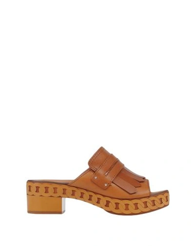 Shop Casadei Sandals In Tan