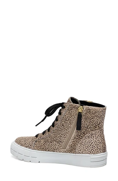 Linea Paolo Gio 2 Sneaker In Beige/ Black