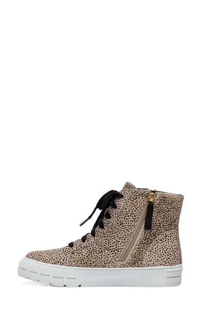 Linea Paolo Gio 2 Sneaker In Beige/ Black