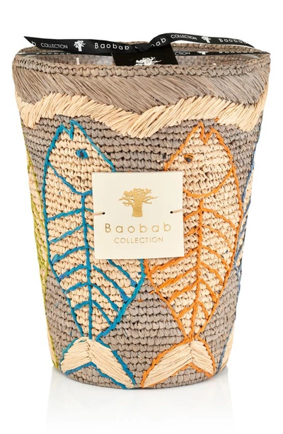 Shop Baobab Collection Vezo Glass Candle In Anosy