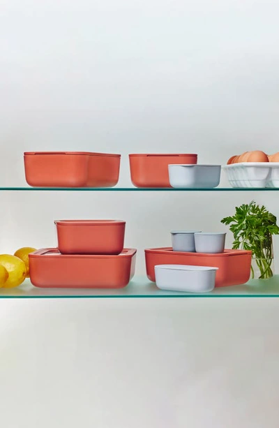 Caraway 14-piece Food Storage Glass Container Set In Perracotta