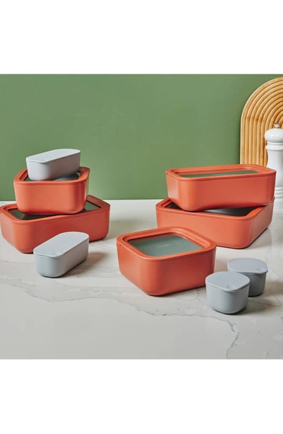 Caraway 14-piece Food Storage Glass Container Set In Perracotta