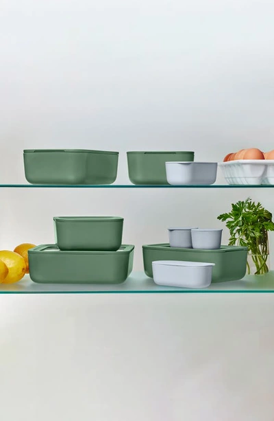 Caraway 14-piece Food Storage Glass Container Set In Sage