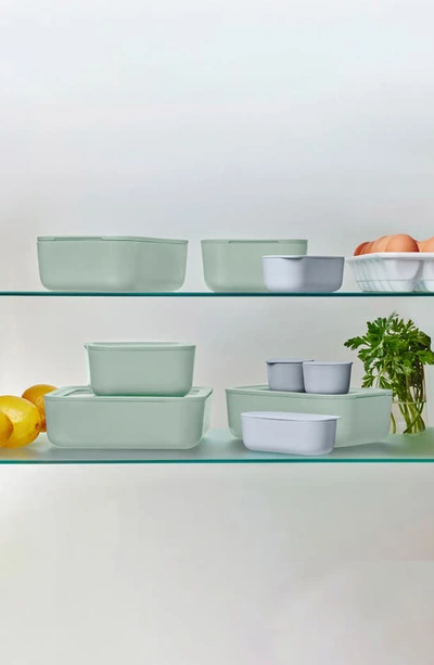 Caraway 14-piece Food Storage Glass Container Set In Mist