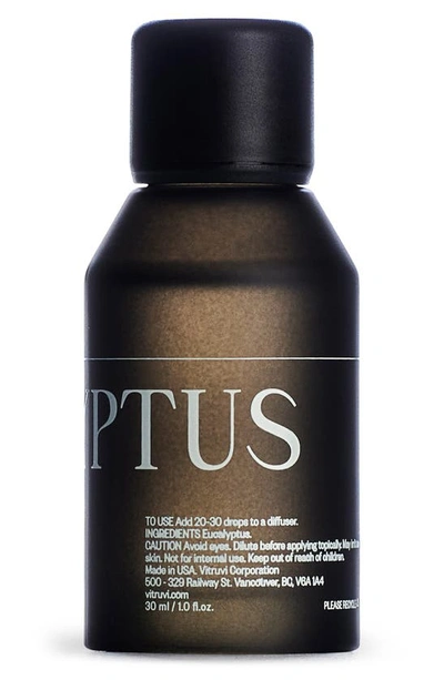 Vitruvi Eucalyptus Essential Oil