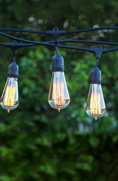 Shop Brightech Ambience Vintage Outdoor Hanging Lights In Black
