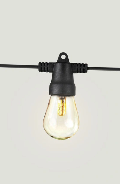 Shop Brightech Ambience Solar Outdoor String Lights In Black