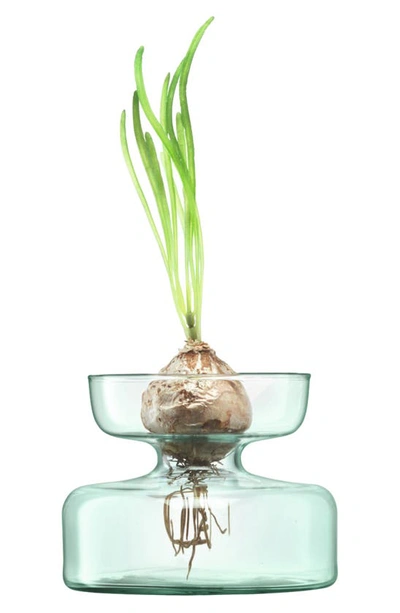 Shop Lsa Canopy Bulb Vase In Clear