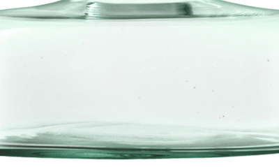 Shop Lsa Canopy Bulb Vase In Clear
