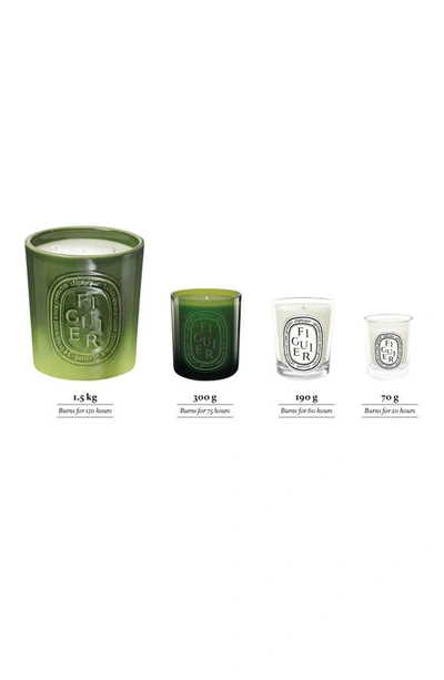 Shop Diptyque Figuier (fig Tree) Scented Indoor & Outdoor Candle, 51.3 oz In Green Vessel