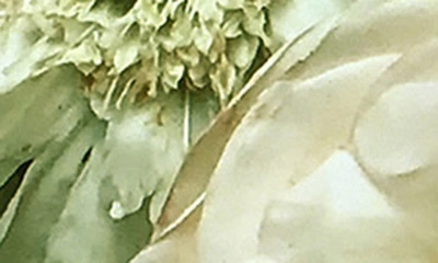Floral Street Grapefruit Bloom Scented Reeds