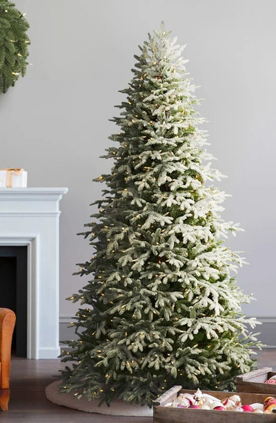 Balsam Hill Artificial Led Frosted Light Fraser Fir Tree In Led Clear