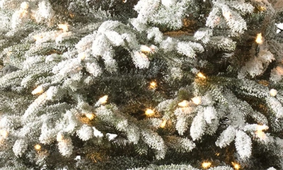 Balsam Hill Artificial Led Frosted Light Fraser Fir Tree In Led Clear