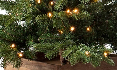 Balsam Hill Country Farm Fir 4-foot Pre-lit Artificial Tree In Green