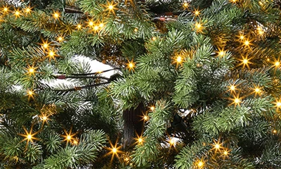 Balsam Hill Artificial Led Light Yukon Spruce Tree In Led Micro