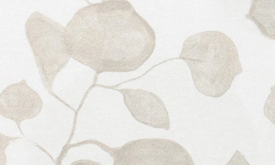 Oilo 2-pack Fitted Jersey Crib Sheets In Tan