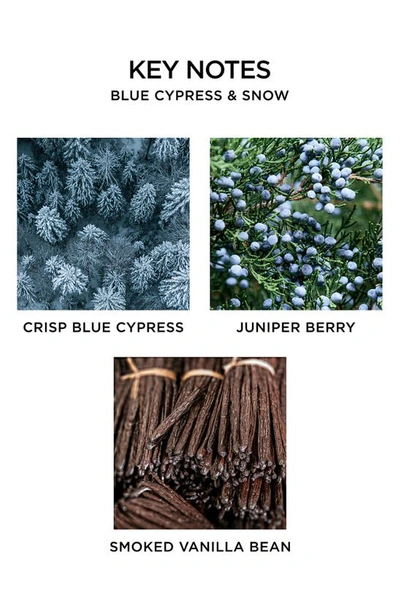 Nest New York Blue Cypress & Snow Classic Candle