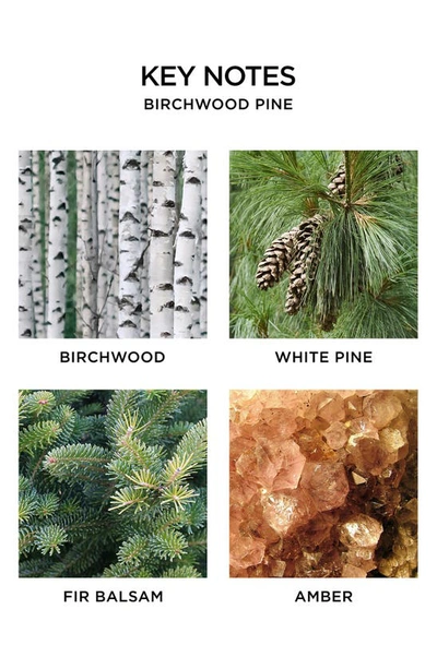 Nest New York Mini Birchwood Pine Candle 2 oz/ 57 G