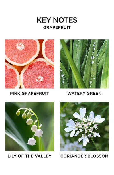 Nest New York Grapefruit Scented Candle