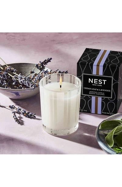 Shop Nest New York Cedar Leaf & Lavender Scented Candle, 2 oz