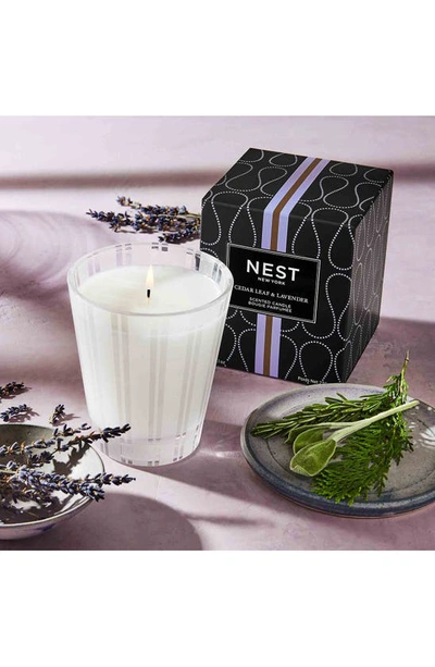 Nest New York Cedar Leaf & Lavender 3-wick Candle, 21.2 Oz.