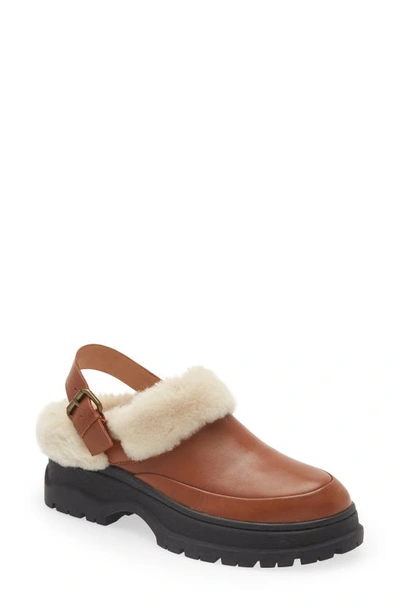 Shop Madewell Tilly Faux Shearling Clog In Dried Maple