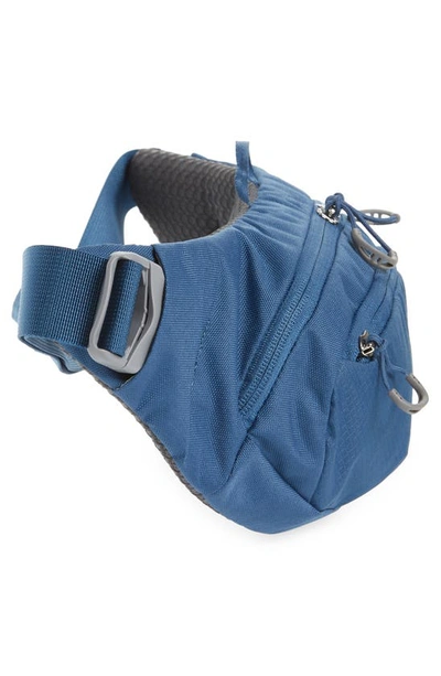 Osprey Daylite Waist Pack In Wave Blue