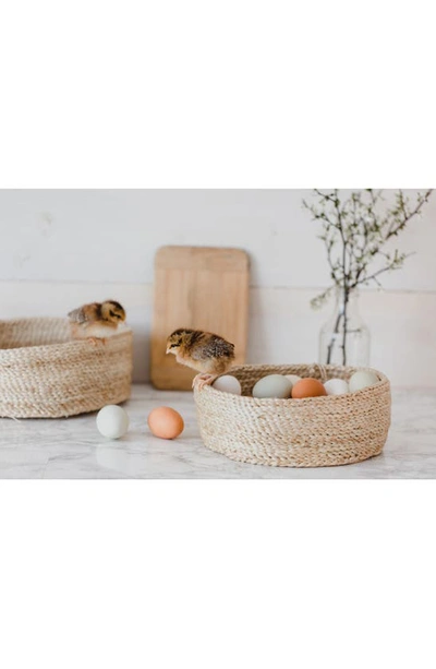 Will And Atlas Set Of 3 Round Jute Tabletop Baskets In Natural