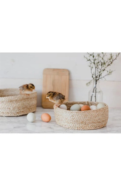 Will And Atlas Set Of 3 Round Jute Tabletop Baskets In Natural