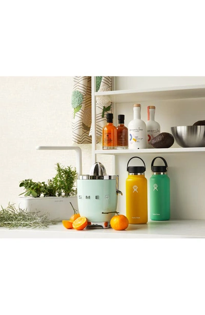 Hydro Flask 32-ounce Wide Mouth Cap Water Bottle In Snapper