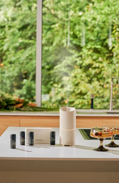 Vitruvi The Festive Four Oil Kit $54 Value