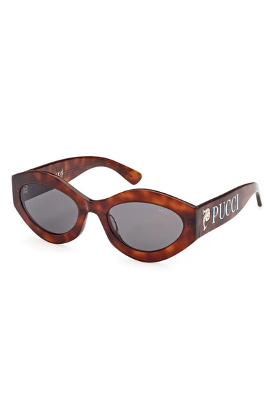 Shop Emilio Pucci 54mm Geometric Sunglasses In Dark Havana / Smoke