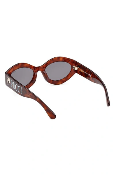 Shop Emilio Pucci 54mm Geometric Sunglasses In Dark Havana / Smoke