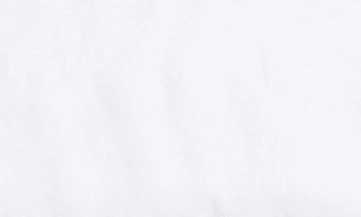 Parachute Set Of 2 Brushed Cotton Shams In White