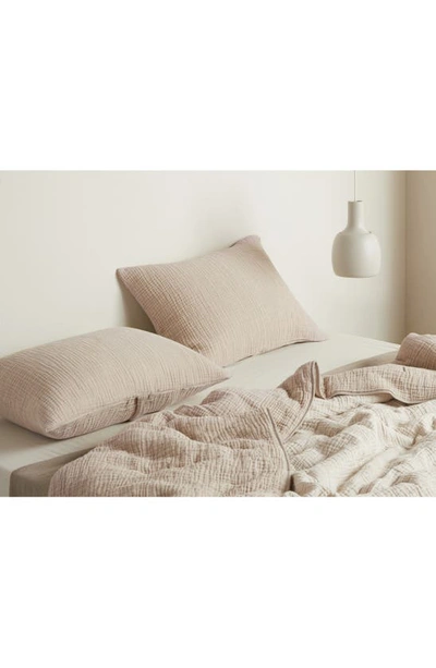 Parachute Set Of 2 Cloud Organic Cotton Gauze Shams In Natural