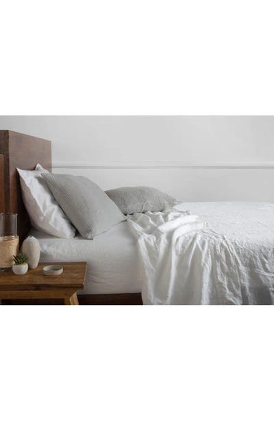 Parachute Cloud Cotton Sham Set In Smoke