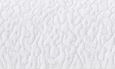Shop Sijo Clima Latex Pillow In White