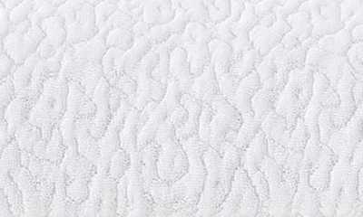 Sijo Clima Latex Pillow In White