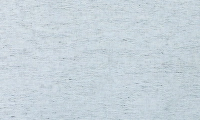Sijo French Linen Set Of 2 Shams In Pinstripe