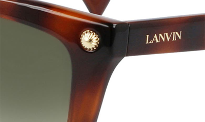 Shop Lanvin Arpege 53mm Gradient Cat Eye Sunglasses In Havana